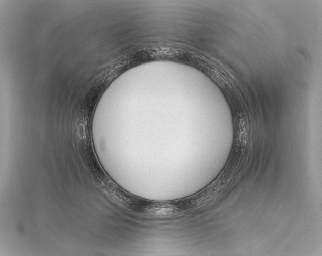 X0000115640514200912011504