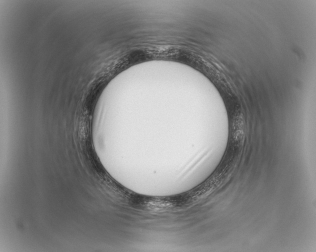 X0000115640515200912011504