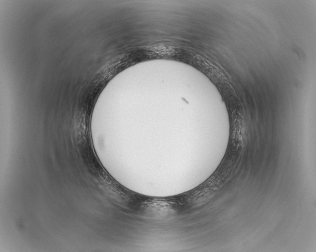 X0000115640518200912011504