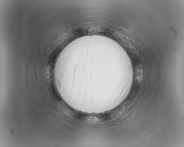 X0000115640519200912011504