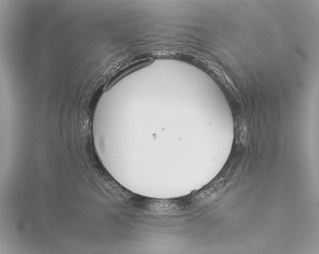 X0000115640521200912011504