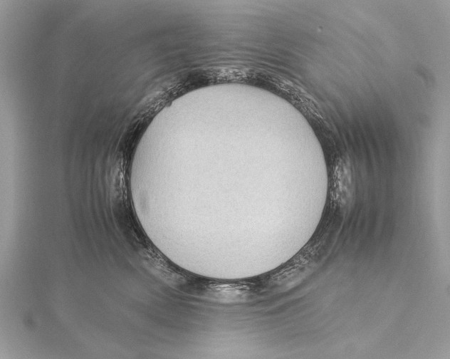 X0000115640522200912011504