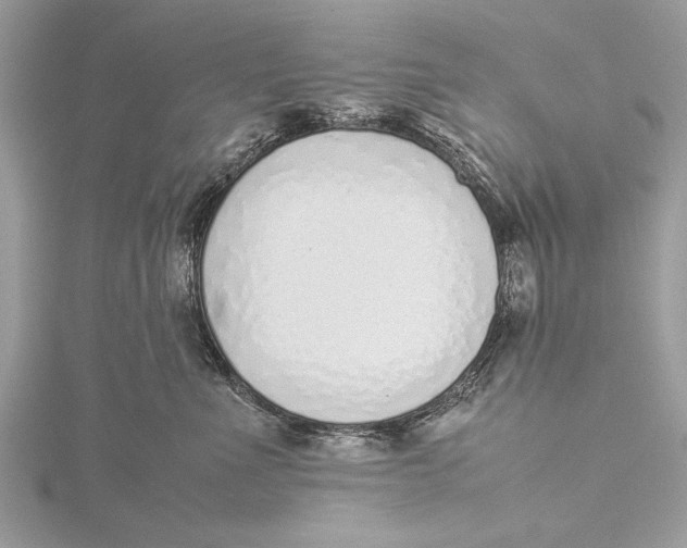 X0000115640523200912011504