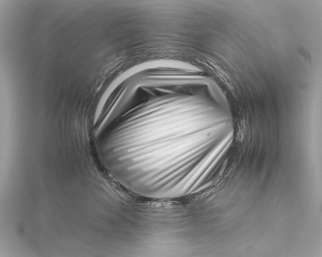 X0000115640524200912011504