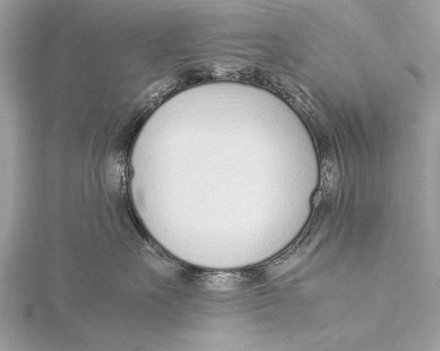 X0000115640527200912011504