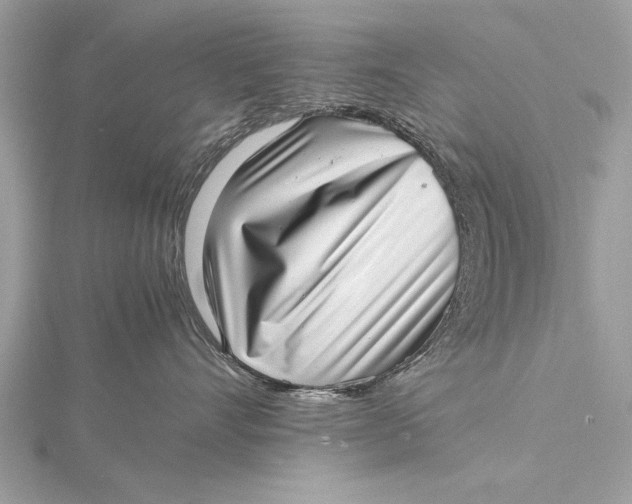 X0000115640528200912011504