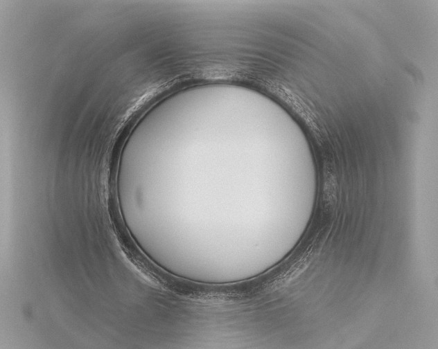 X0000115640530200912011503