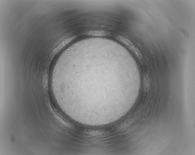 X0000115640533200912011503