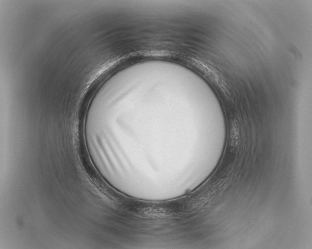 X0000115640535200912011503