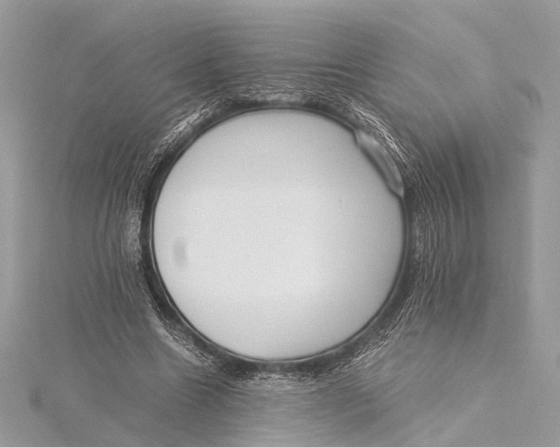 X0000115640538200912011503