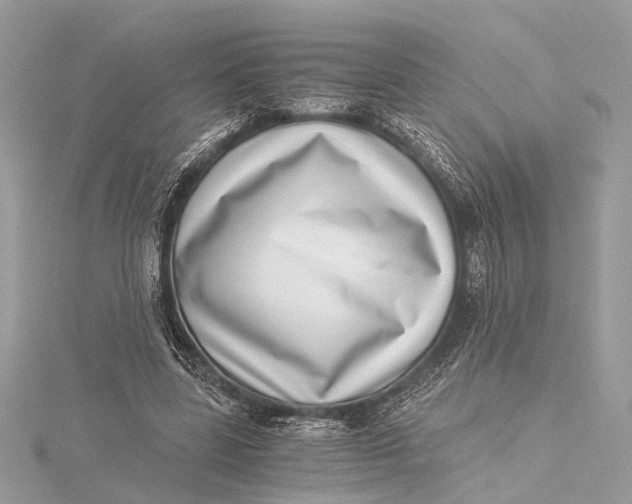 X0000115640539200912011503