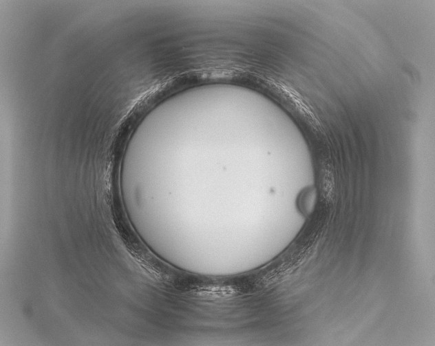 X0000115640543200912011503