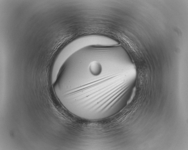 X0000115640546200912011503