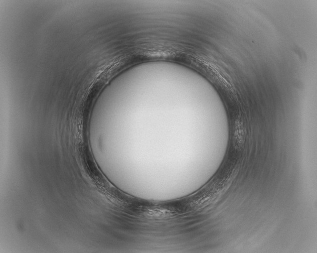 X0000115640547200912011503