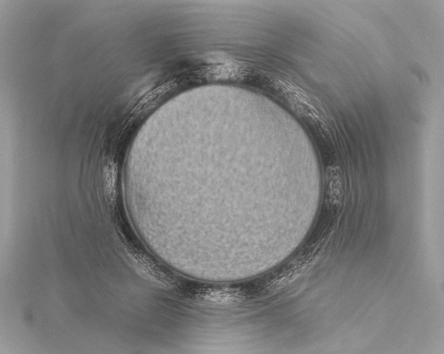 X0000115640550200912011503