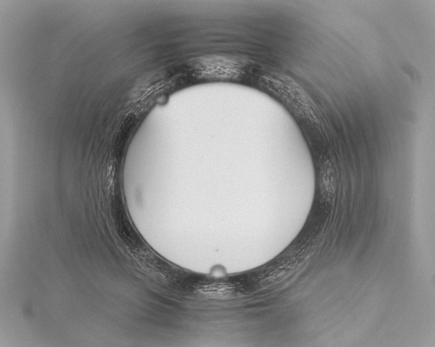 X0000115640551200912011503