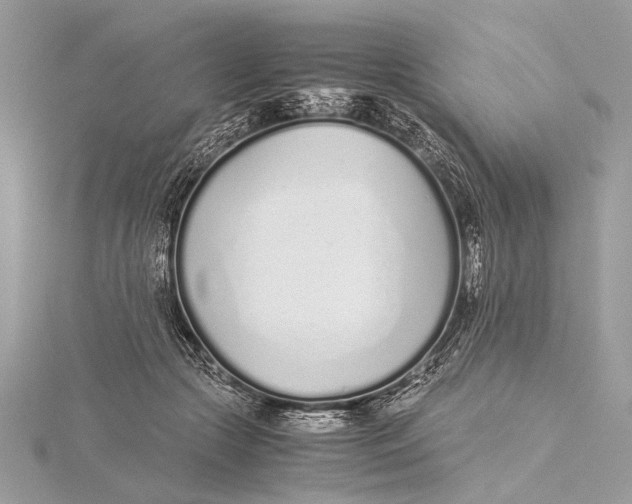 X0000115640553200912011503