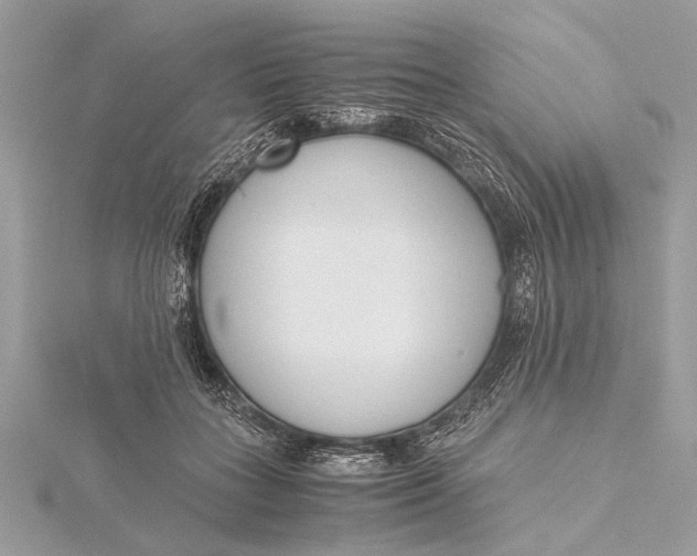 X0000115640555200912011503