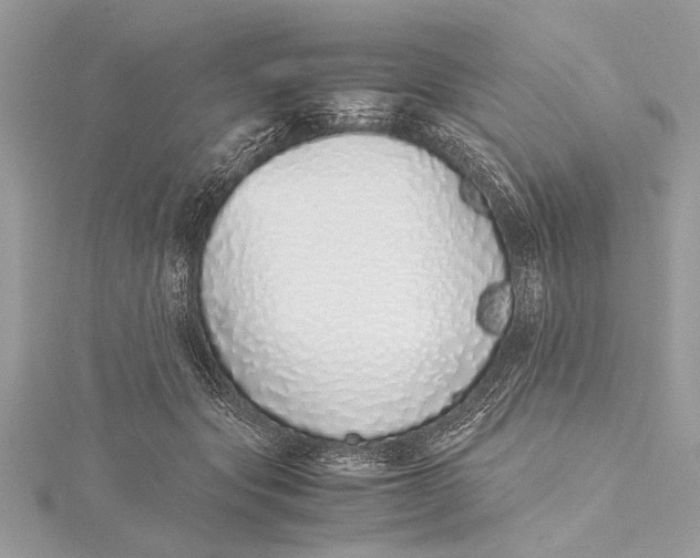 X0000115640557200912011503