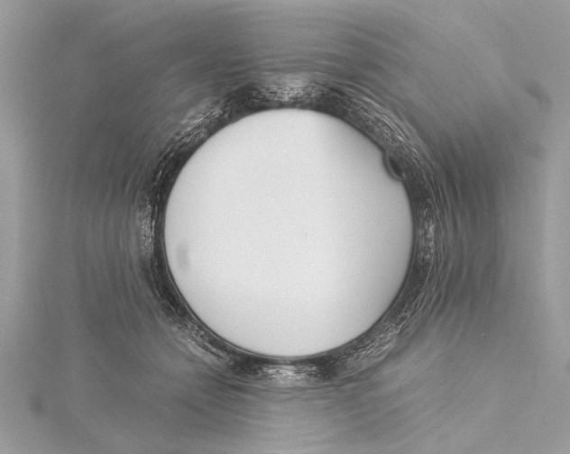 X0000115640558200912011503