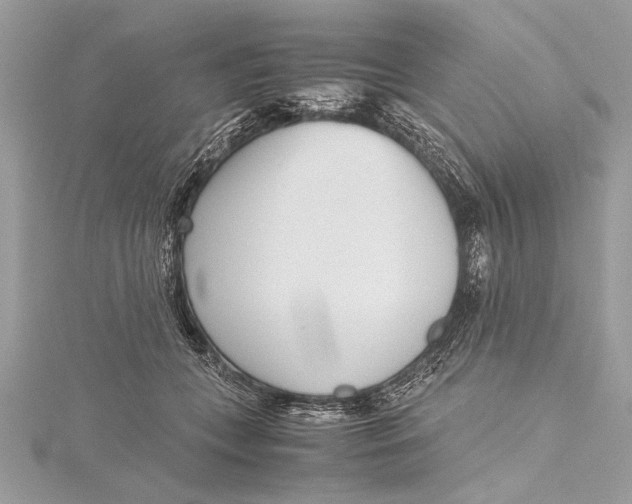 X0000115640559200912011503