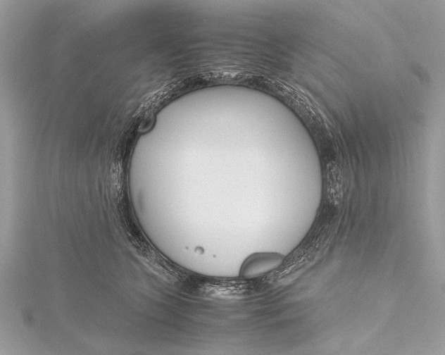 X0000115640563200912011503