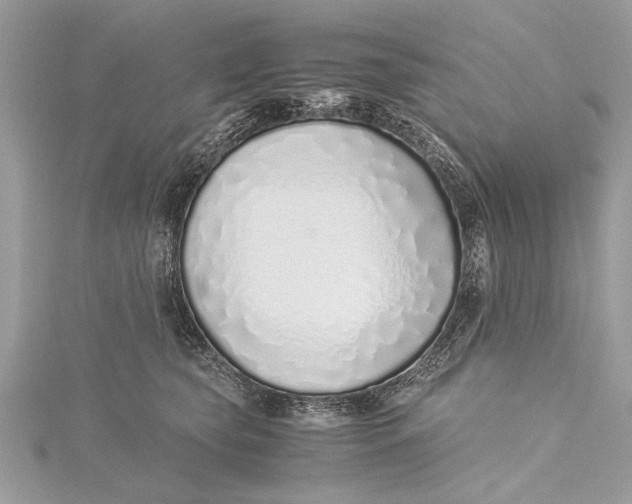X0000115640565200912011503