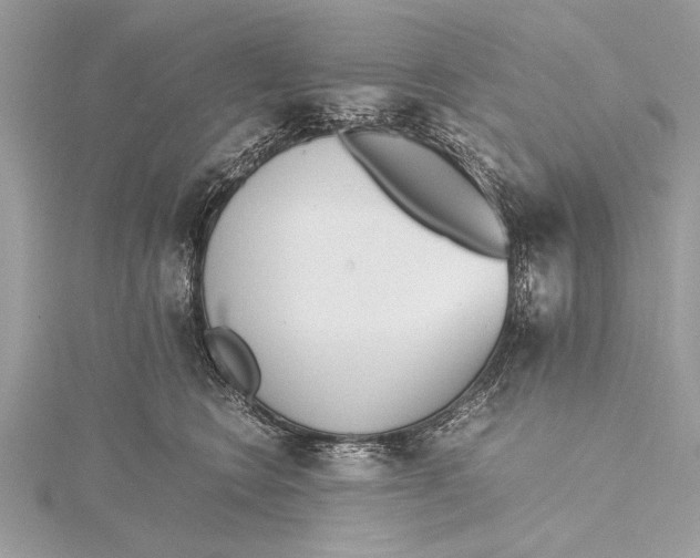 X0000115640566200912011504