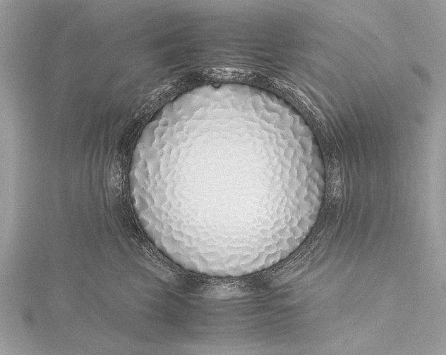 X0000115640569200912011504