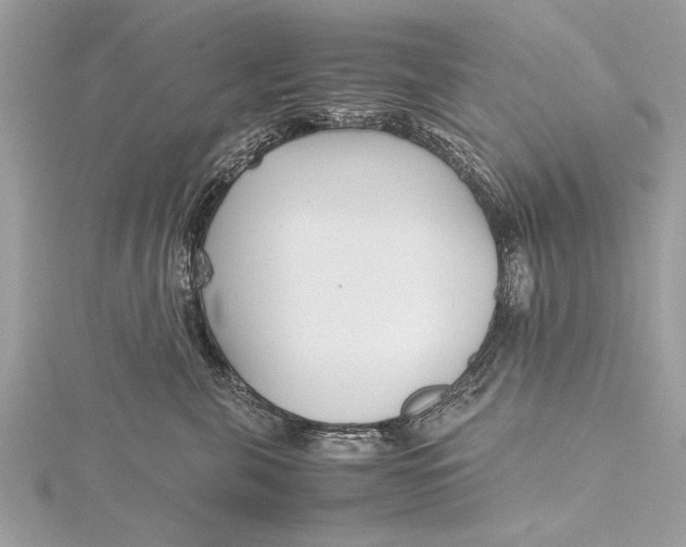 X0000115640571200912011504