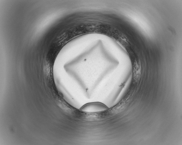 X0000115640574200912011504