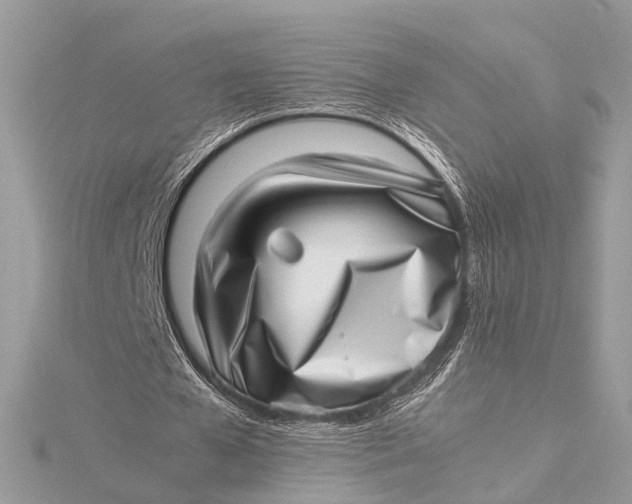 X0000115640577200912011503