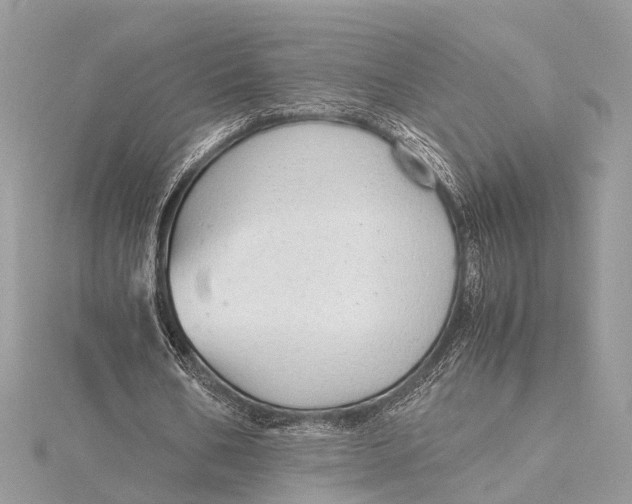 X0000115640578200912011503
