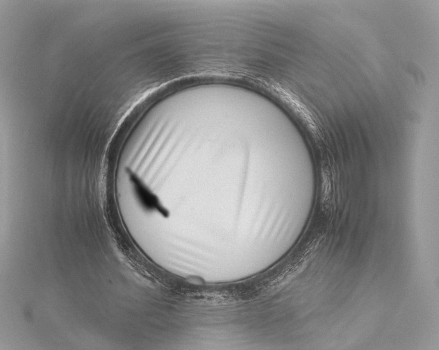 X0000115640580200912011503