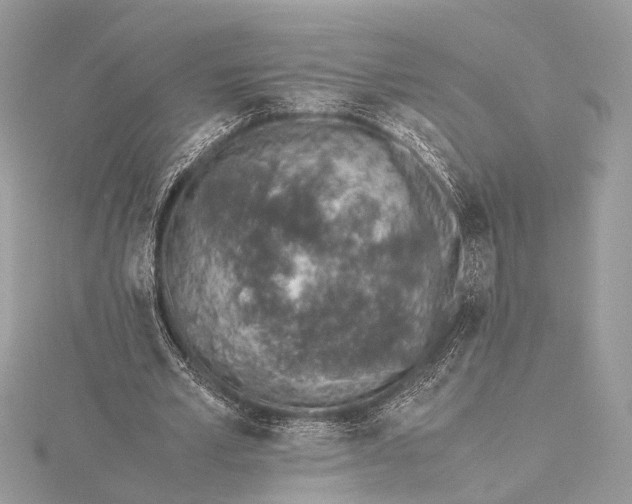 X0000115640581200912011503