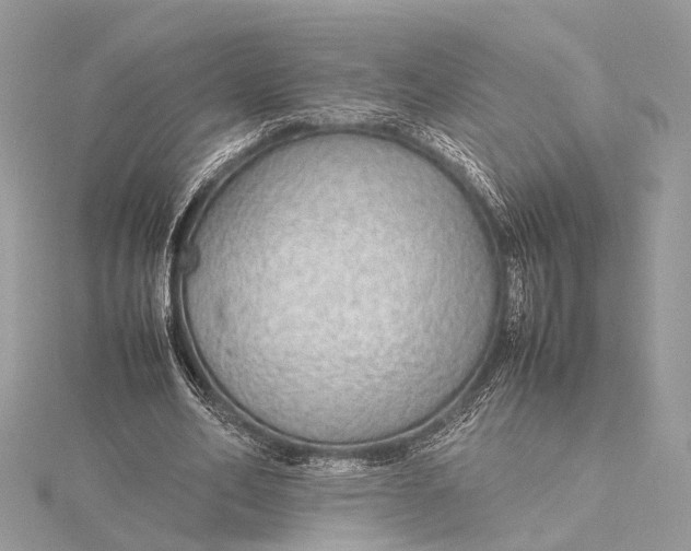 X0000115640582200912011503