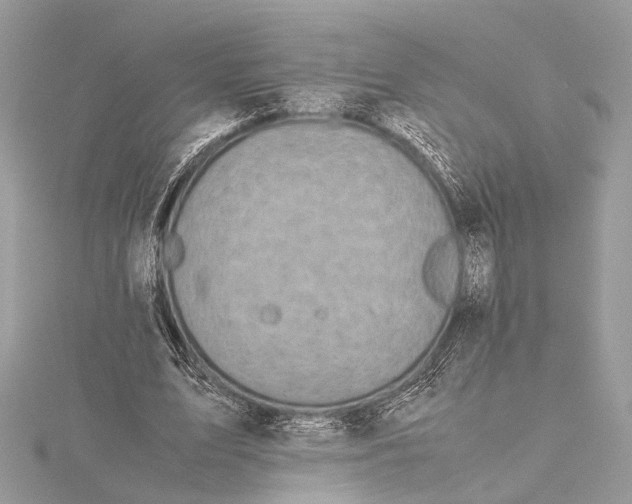 X0000115640583200912011503