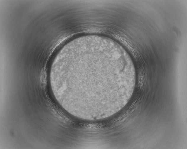 X0000115640584200912011503