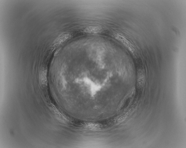 X0000115640585200912011503