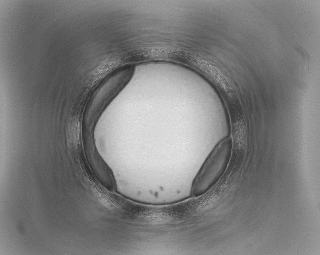 X0000115640589200912011503