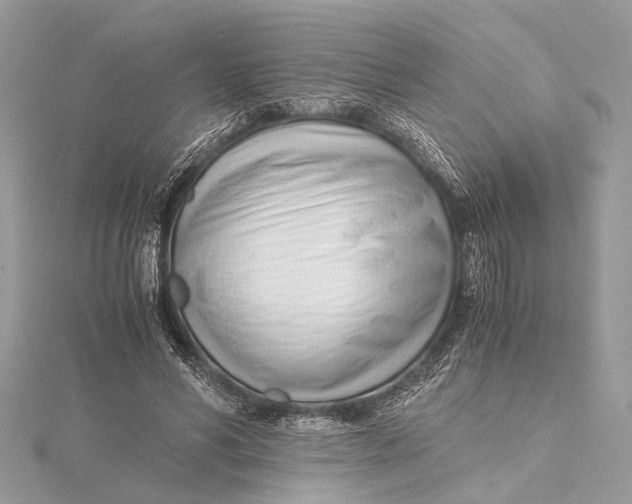 X0000115640590200912011503