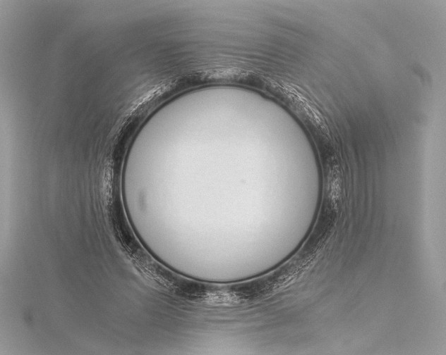 X0000115640591200912011503