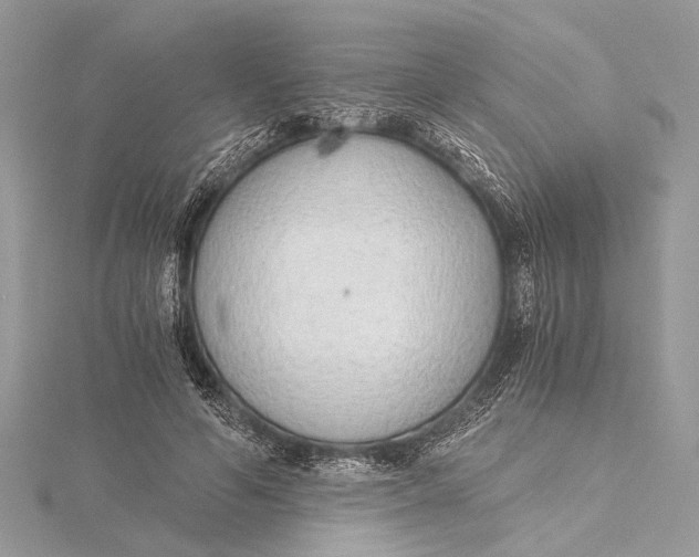X0000115640594200912011503