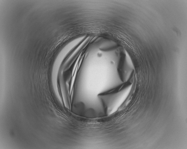 X0000115640595200912011503