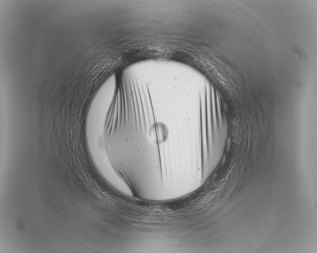 X0000115640597200912011503