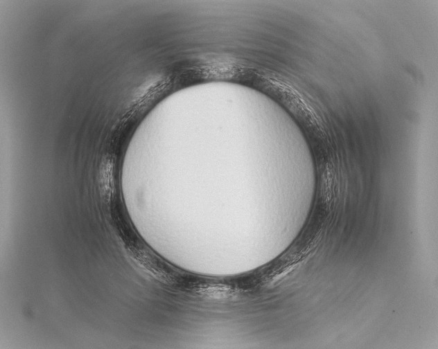X0000115640598200912011503