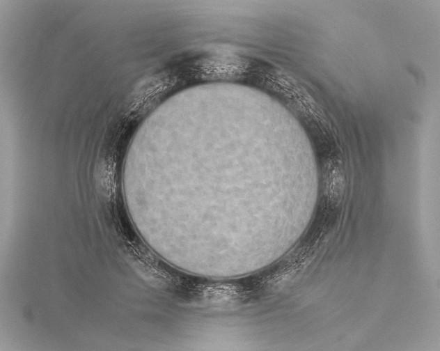 X0000115640599200912011503