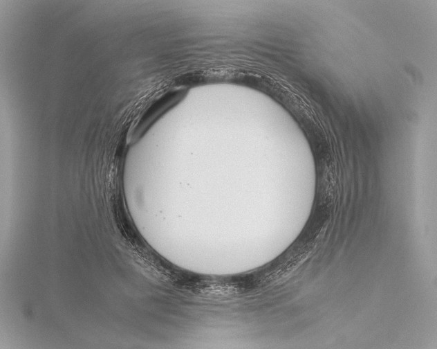 X0000115640601200912011503