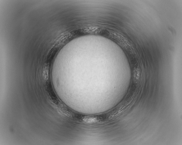X0000115640602200912011503