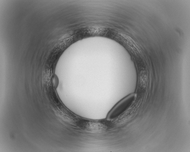 X0000115640605200912011502